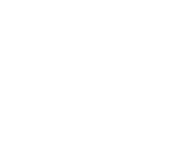 DL Palettenhandel GmbH